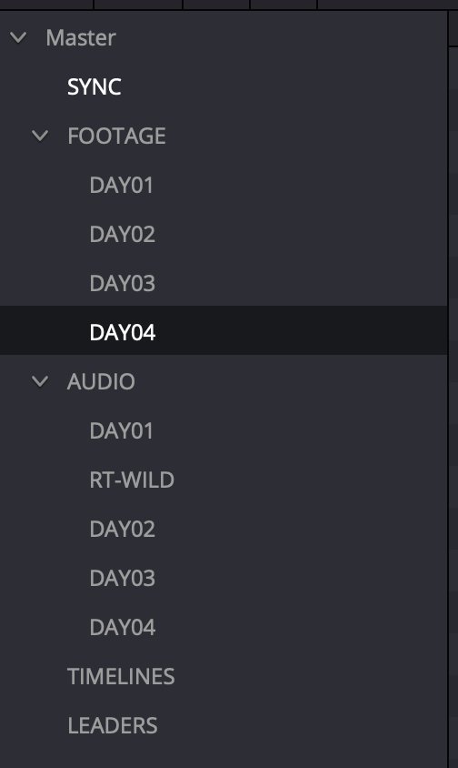 DaVinci Resolve media pool