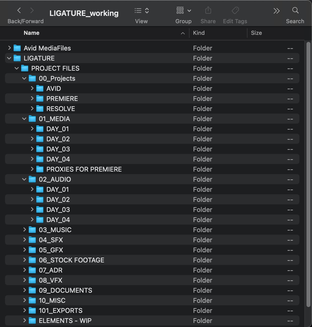 SSD project folder structure